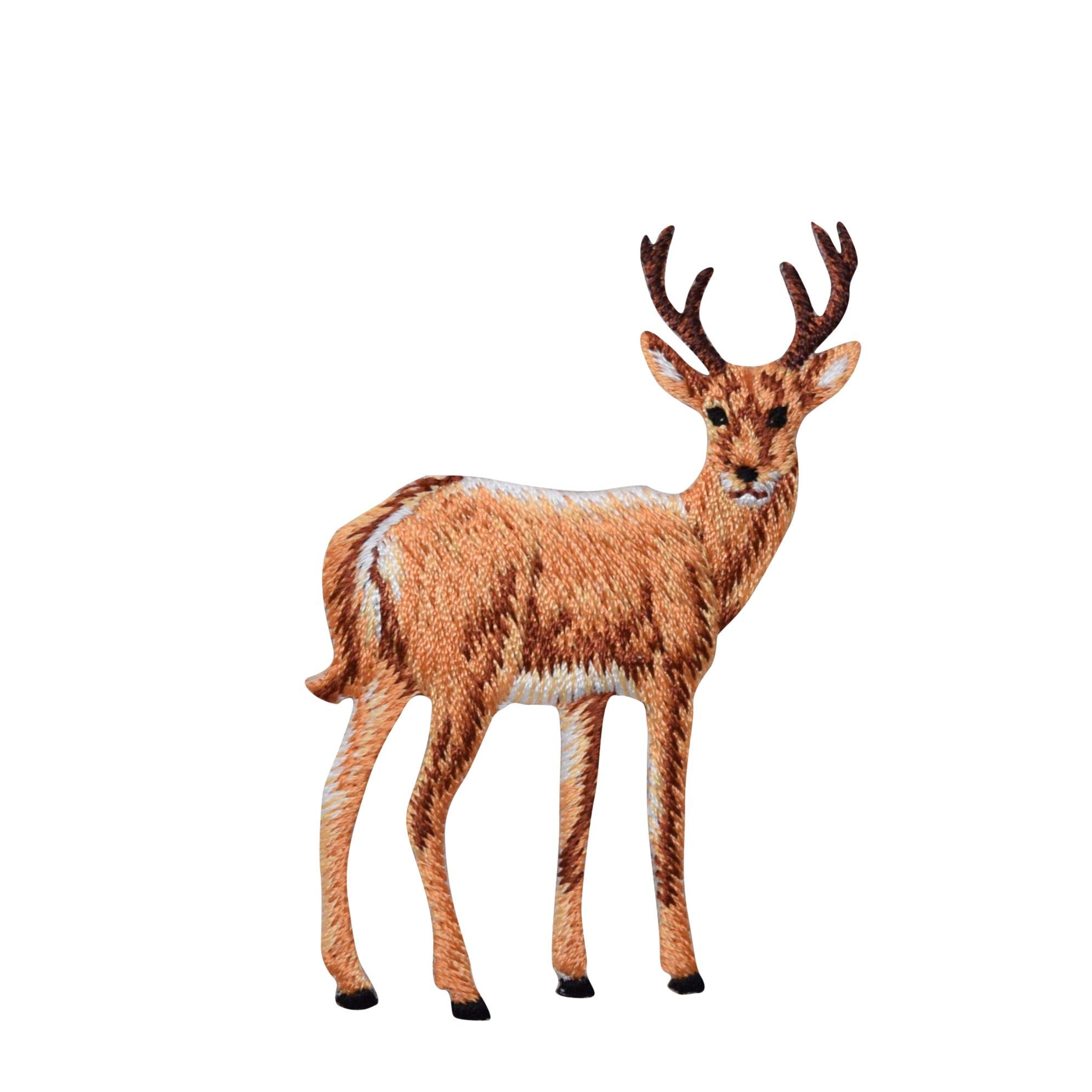 Amazon.com: Whitetail Deer- Natural Animal - Facing Right